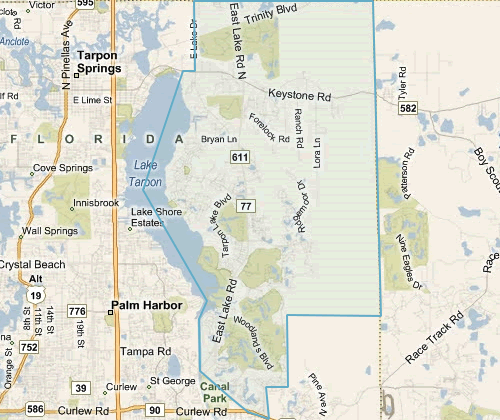 Map of East Lake Florida - East Lake MLS homes for sale